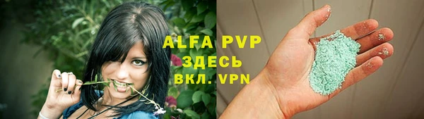 spice Аркадак