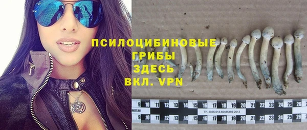 spice Аркадак