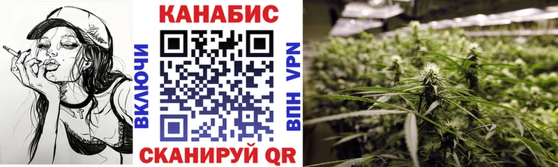 Бошки Шишки Amnesia  Могоча 